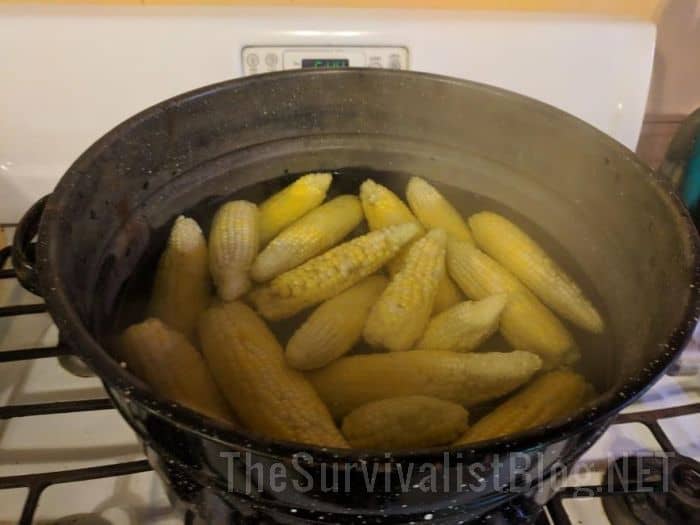 blanching corn in boiling water