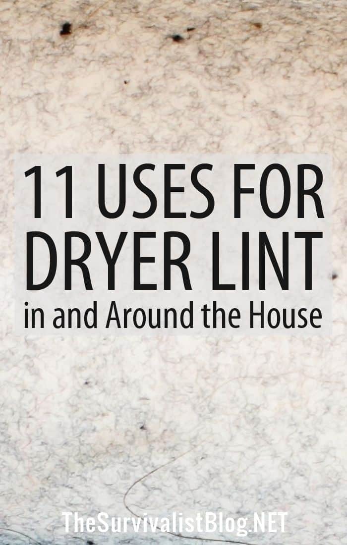 dryer lint uses Pinterest image