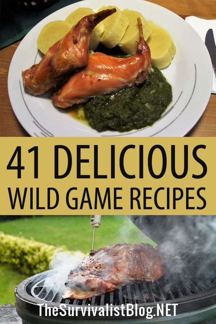 wild game recipe pinterest