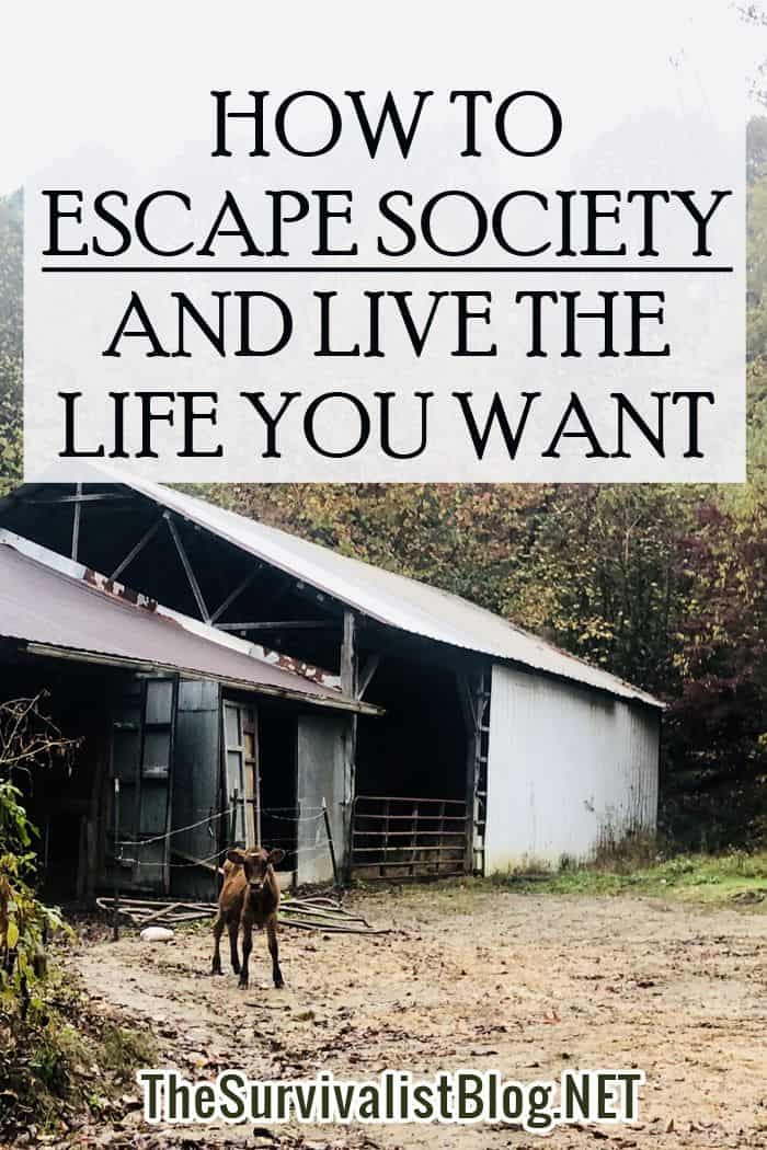 escape society Pinterest image