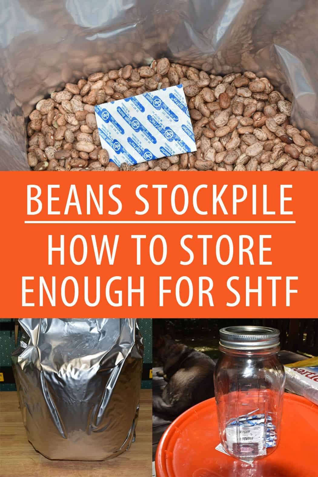 beans stockpile pinterest