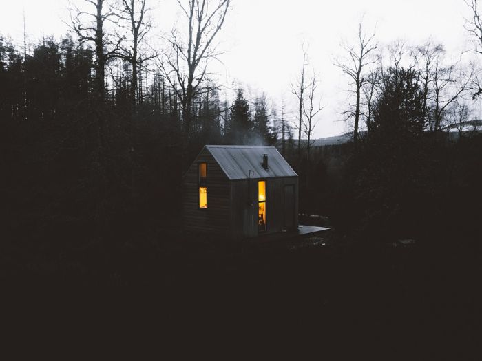 small cabin in the woods