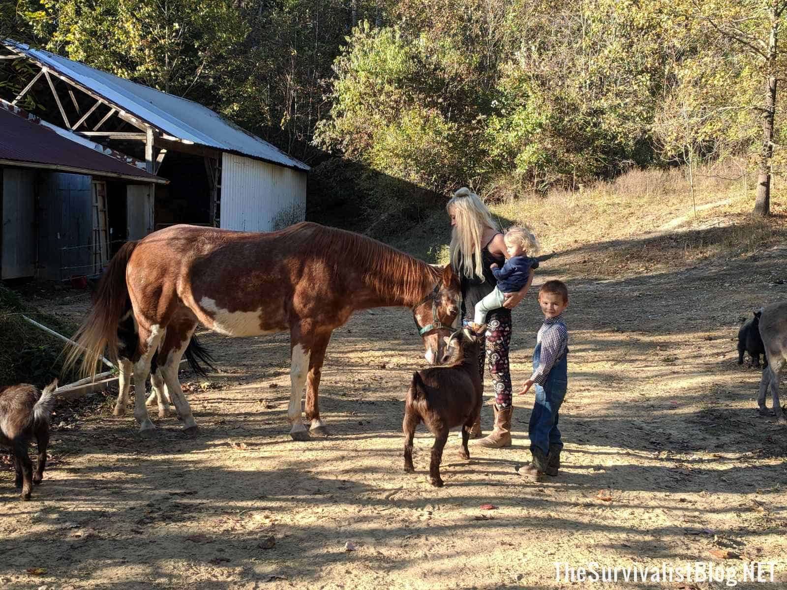 young mother and kids tending a horse and some goats