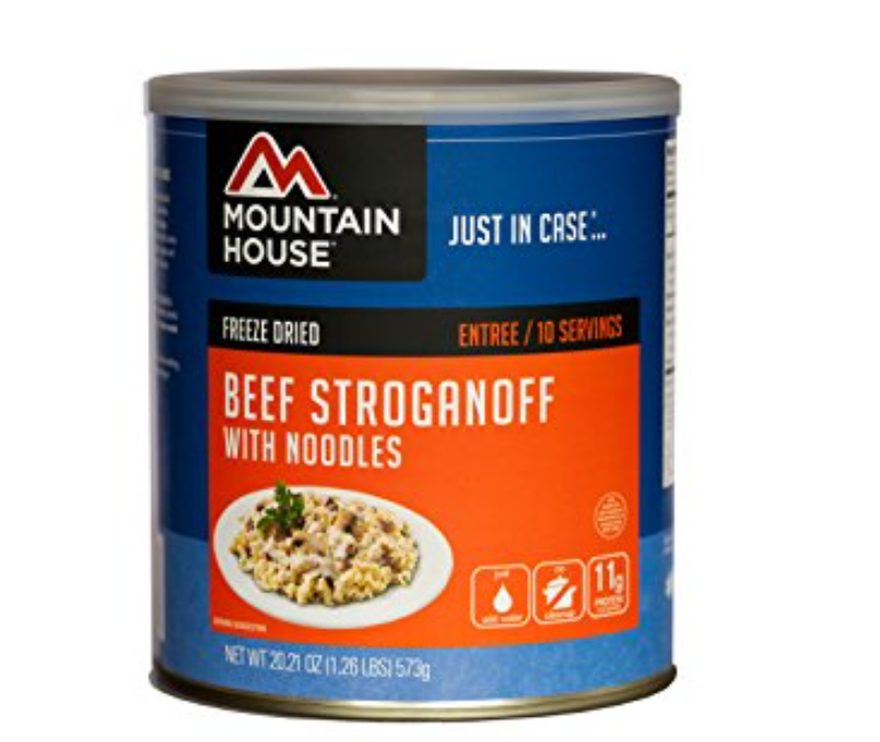  Mountain House Beef Stroganoff with Noodles as one of the best freeze dried food in 2022