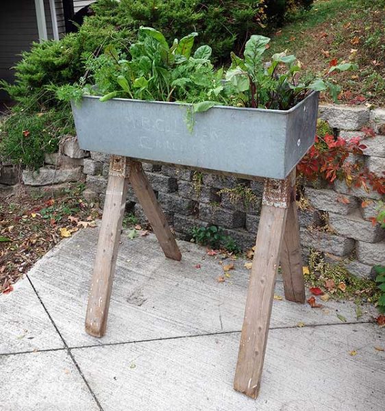 Found Object Reused As a DIY Raised Bed Garden