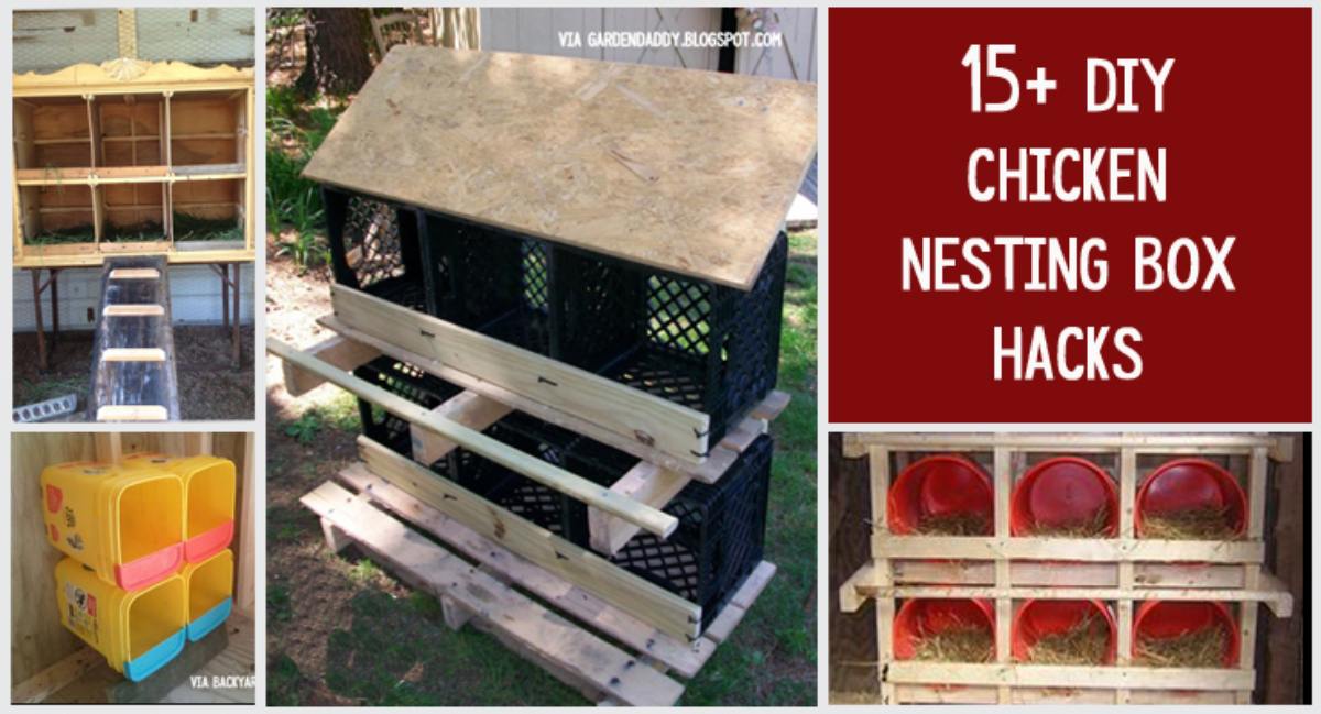 chicken nesting box ideas