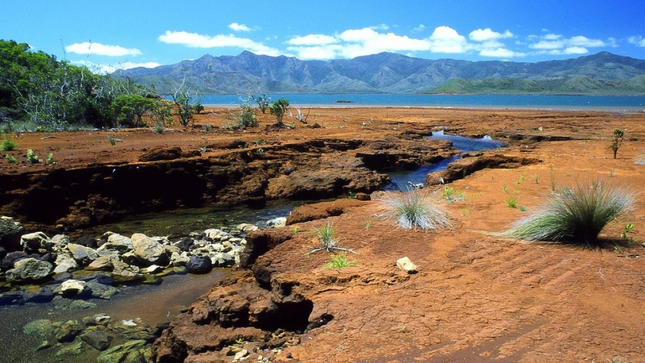 A Creek in Southern New Caledonia