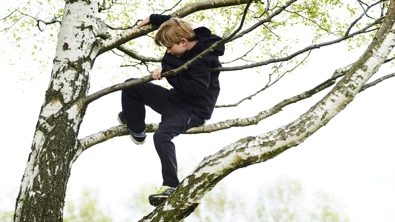 boy-climbing-a-tree