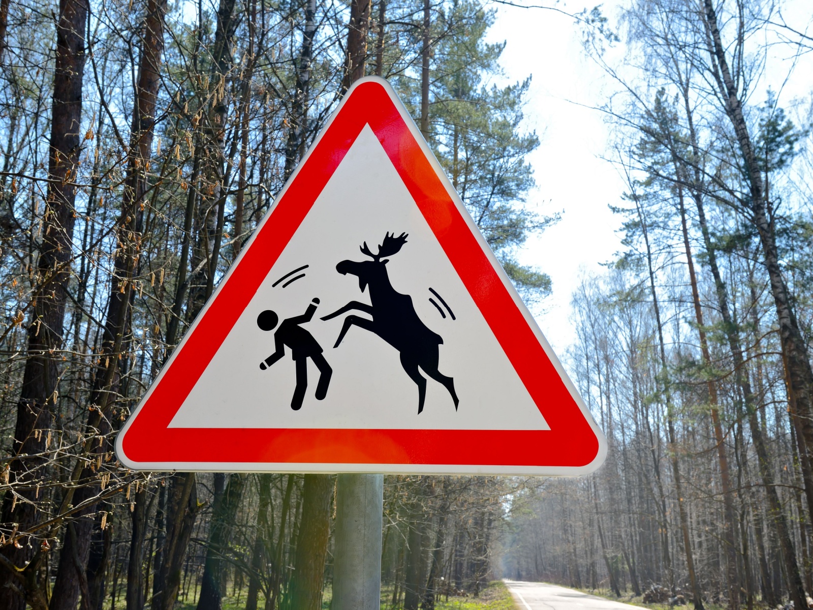 sign for wild animal attacks