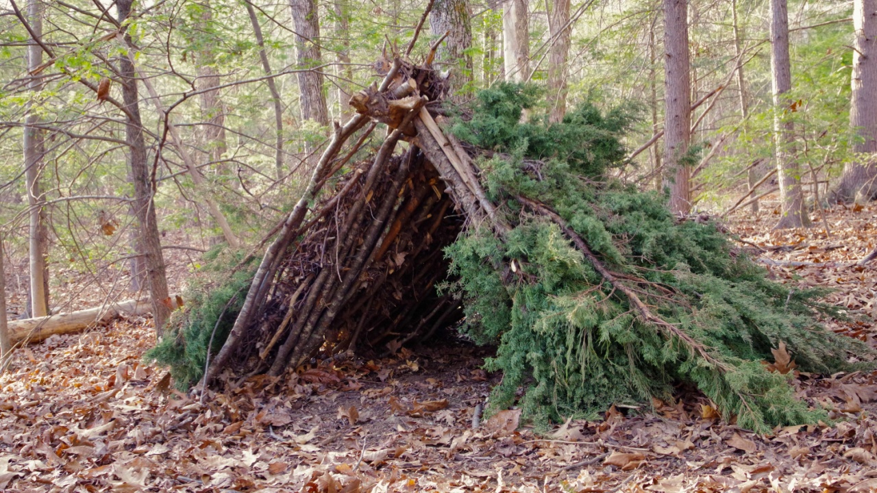 Shelter made of logs and debris