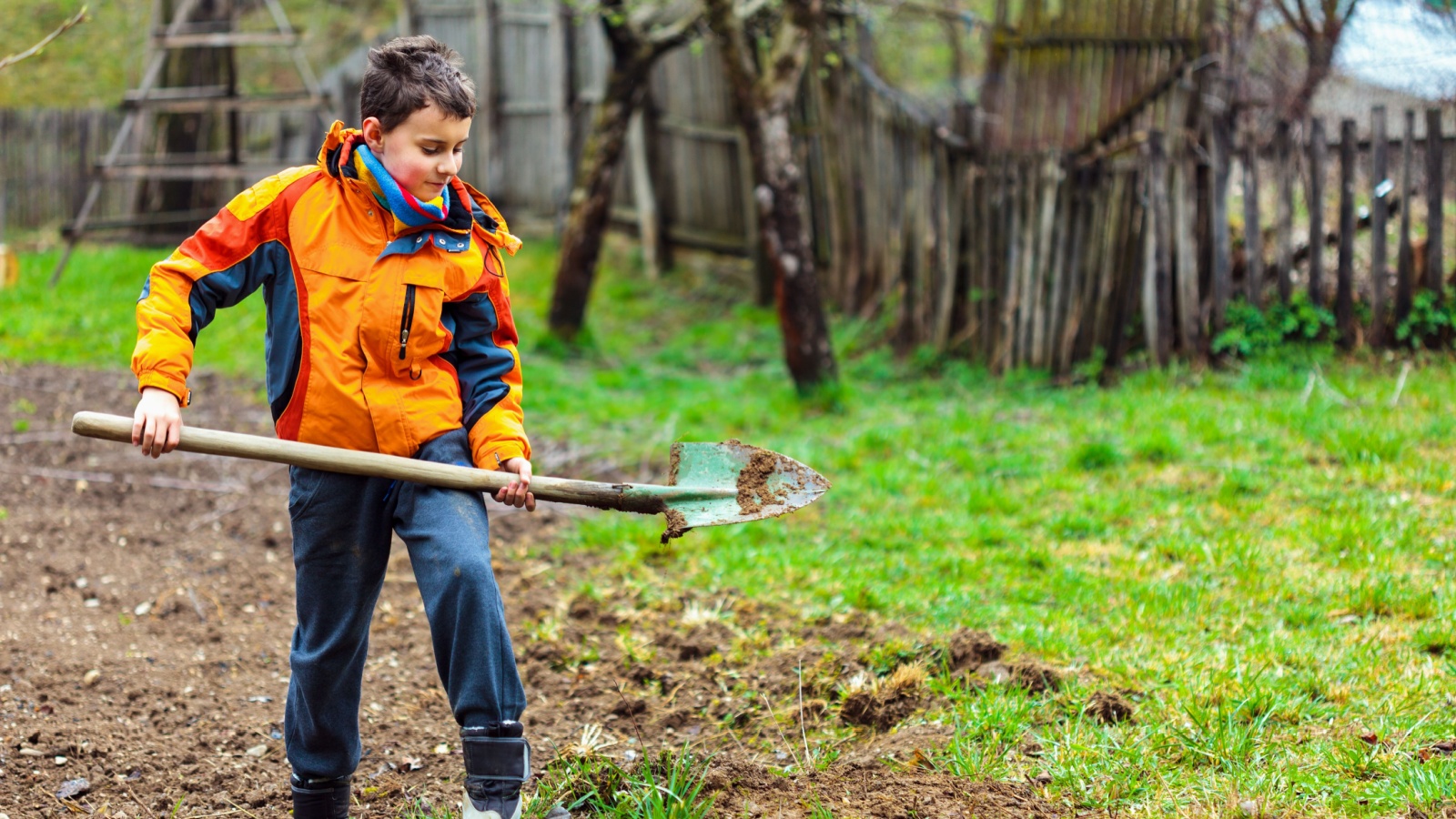 Young boy with a spade in a field, tools