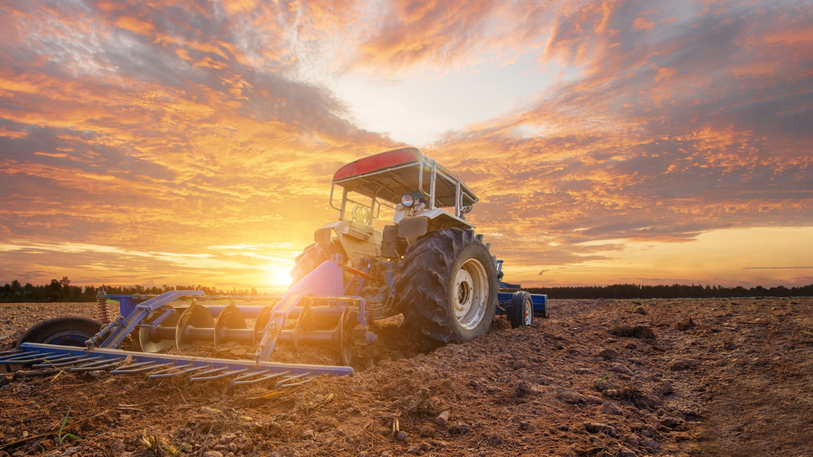 Agricultural tractors working cultivating preparing planting area, machinery, buoys, saving labor costs in the agricultural industry, agricultural tools, modern farming, smart farms