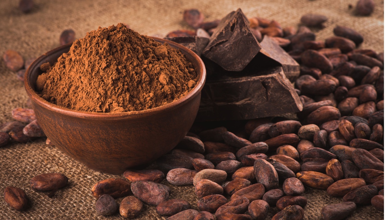 cocoa powder