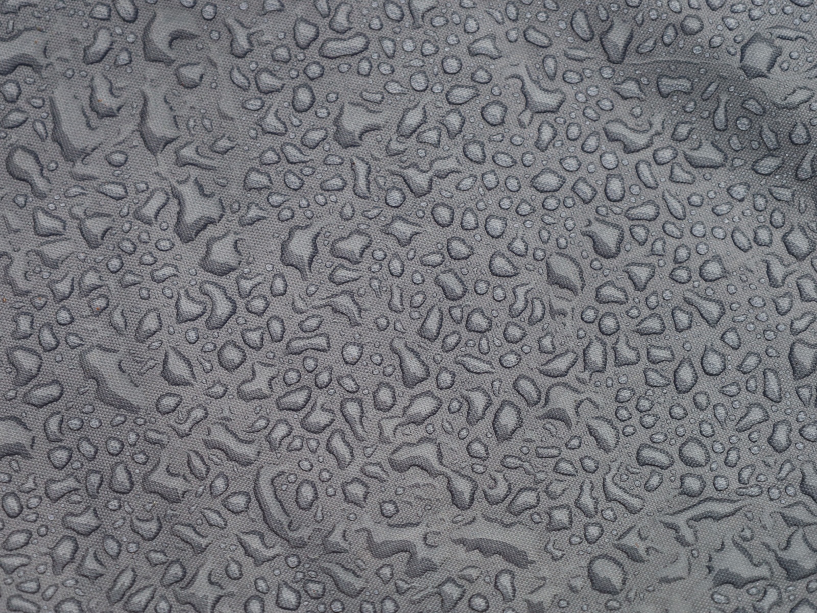 condensation on tarp
