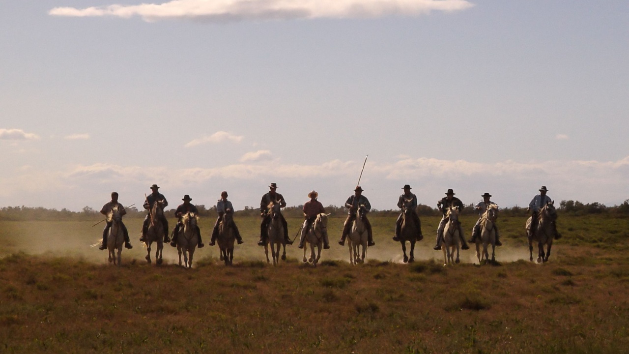 Posse of Americans