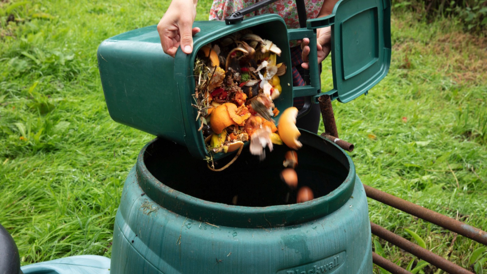 Compost Bin