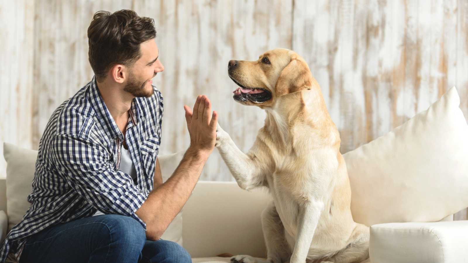 Man giving hifi to dog