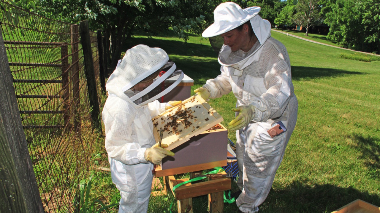 Mother teaching about Beekeeping