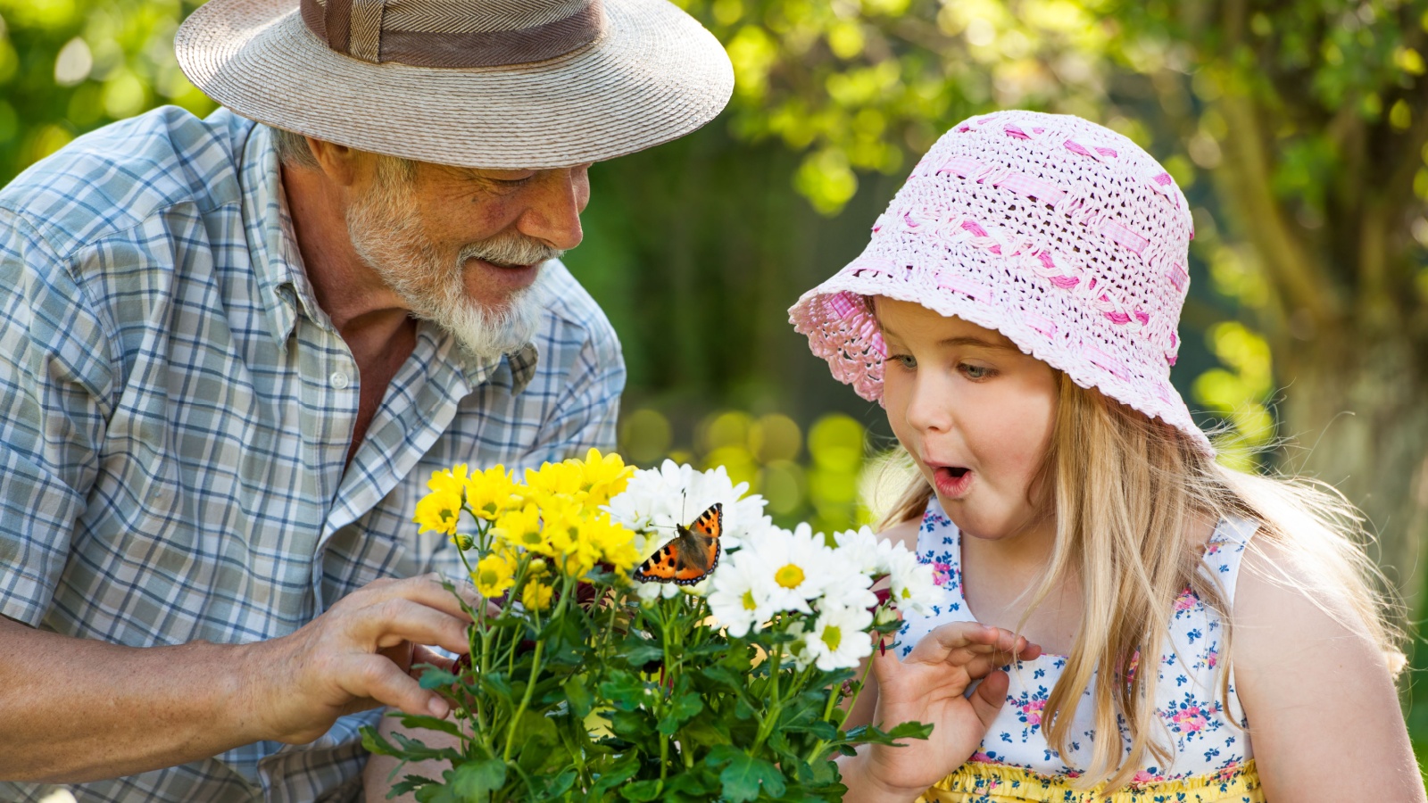 Grandfather with his granddaughter watching a butterfly together