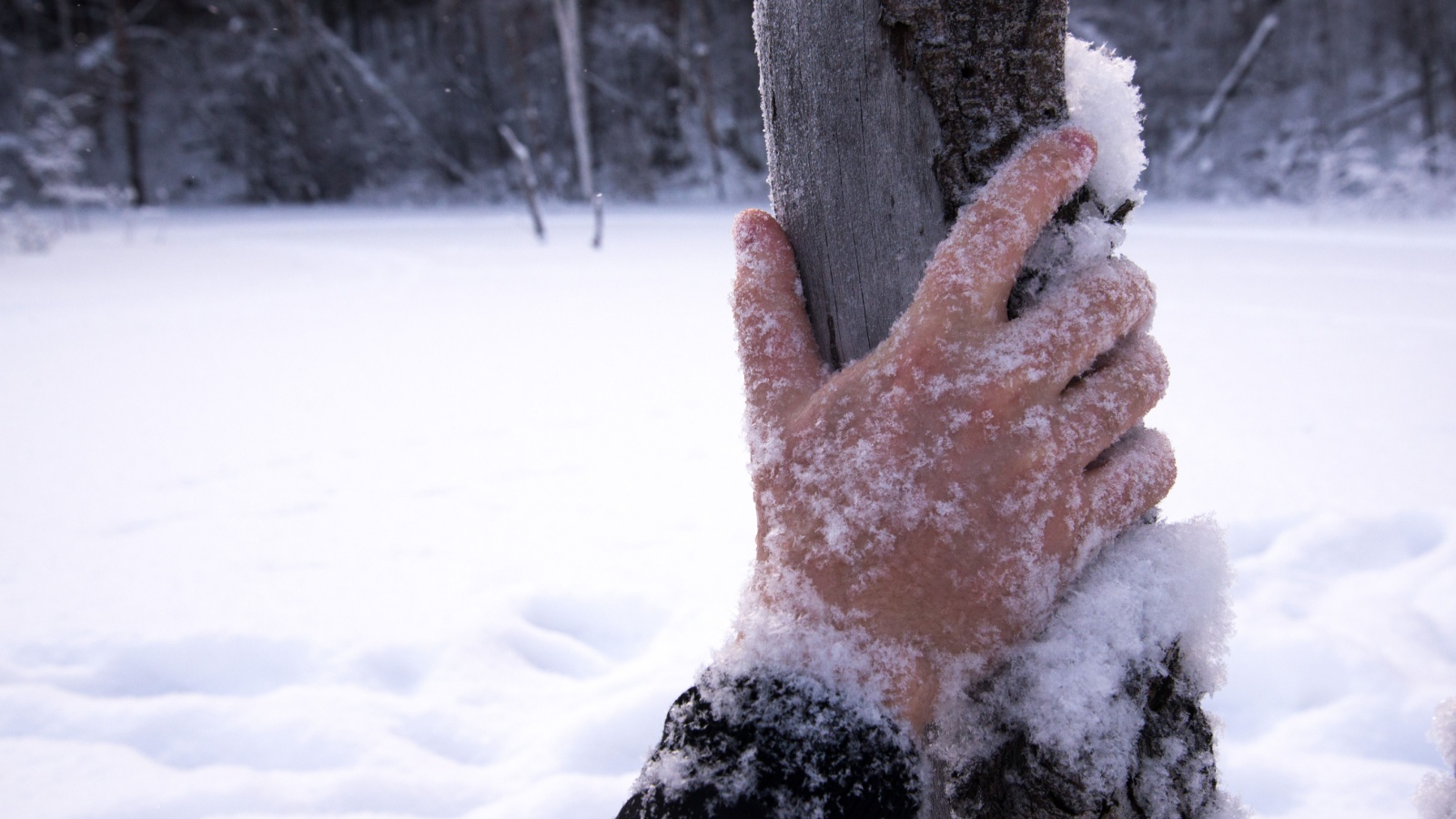 frostbite hands holding a tree in the snow