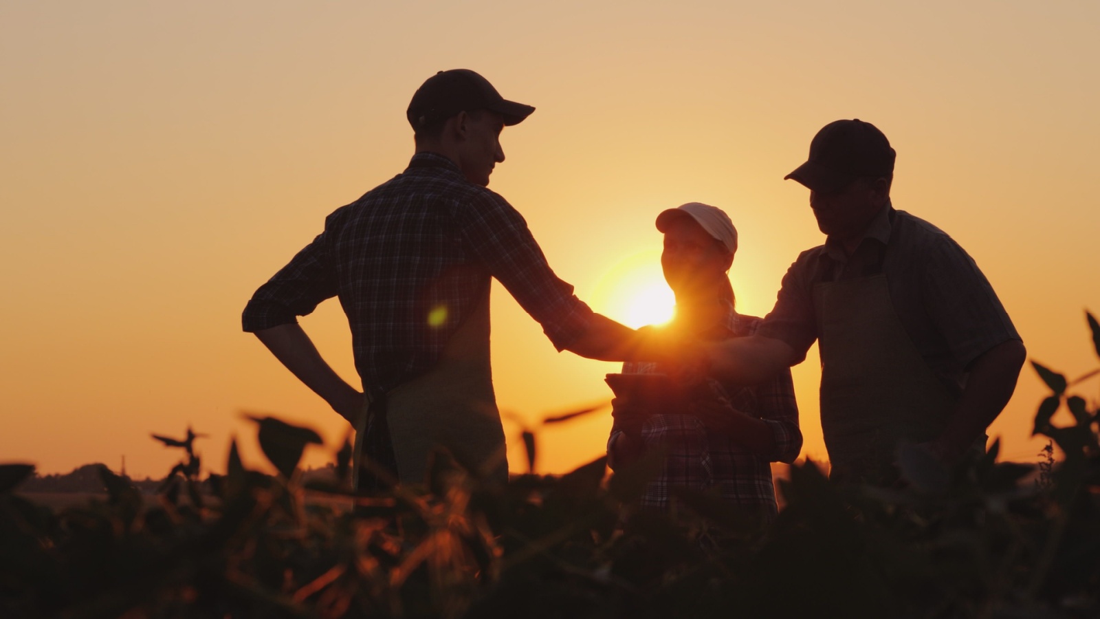 farmers shaking hands in a field