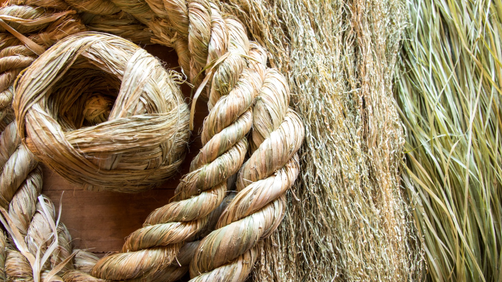 Natural fibers from hemp trees are used to make woven fabrics as folk crafts. 