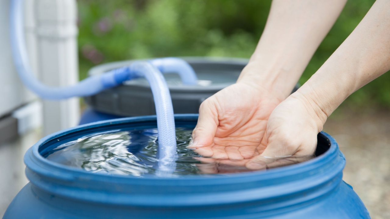 rain water collection