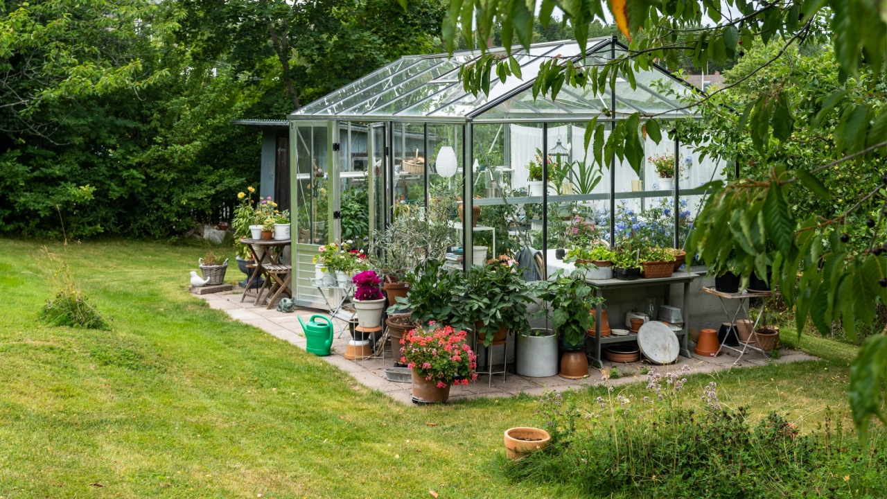 Greenhouse full of home grown vegetables,