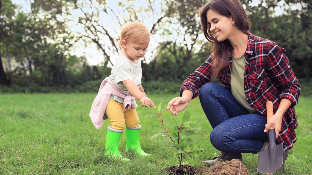 Mother and her baby daughter planting tree together in garden using a trowel