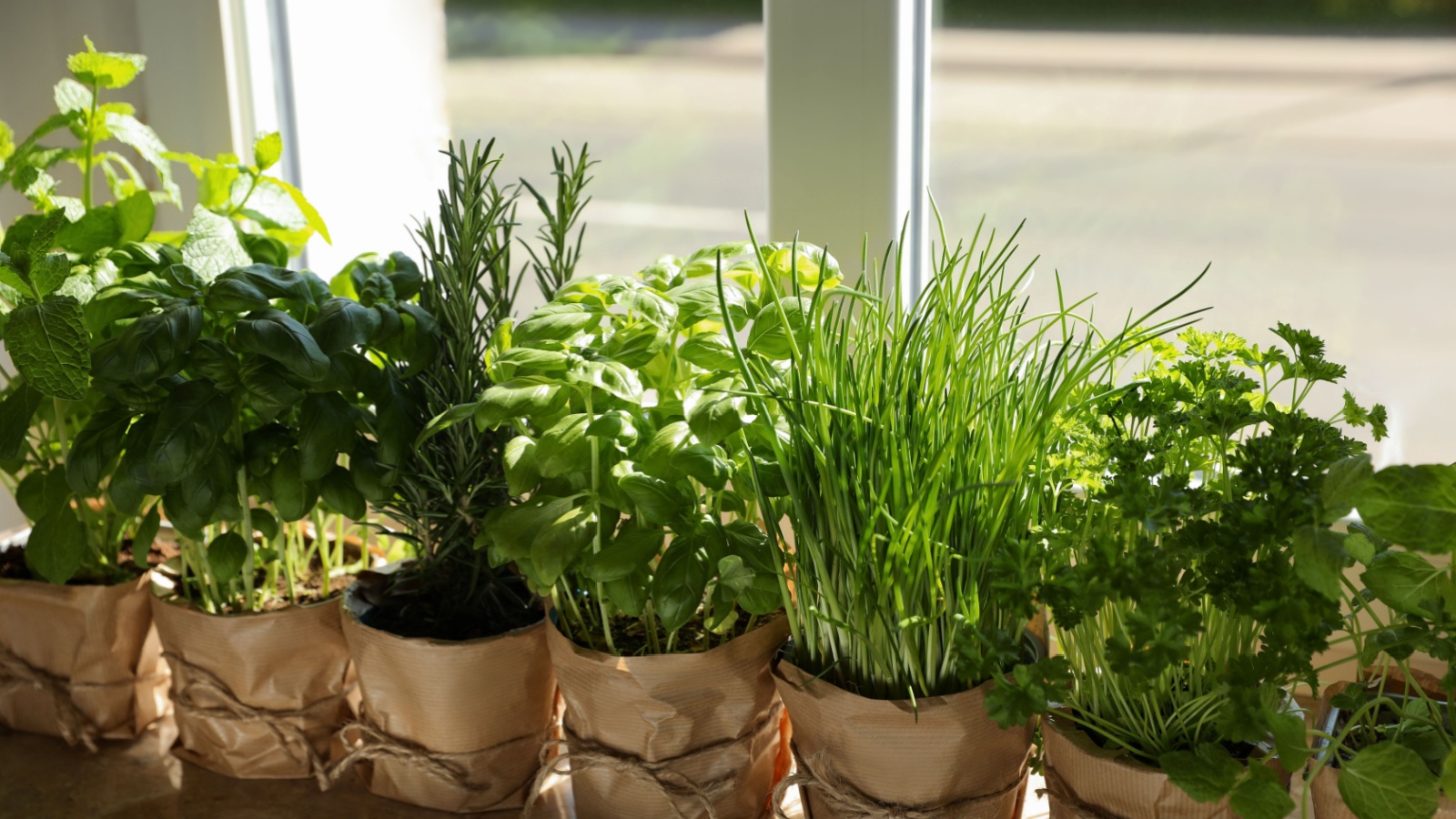 window herb garden
