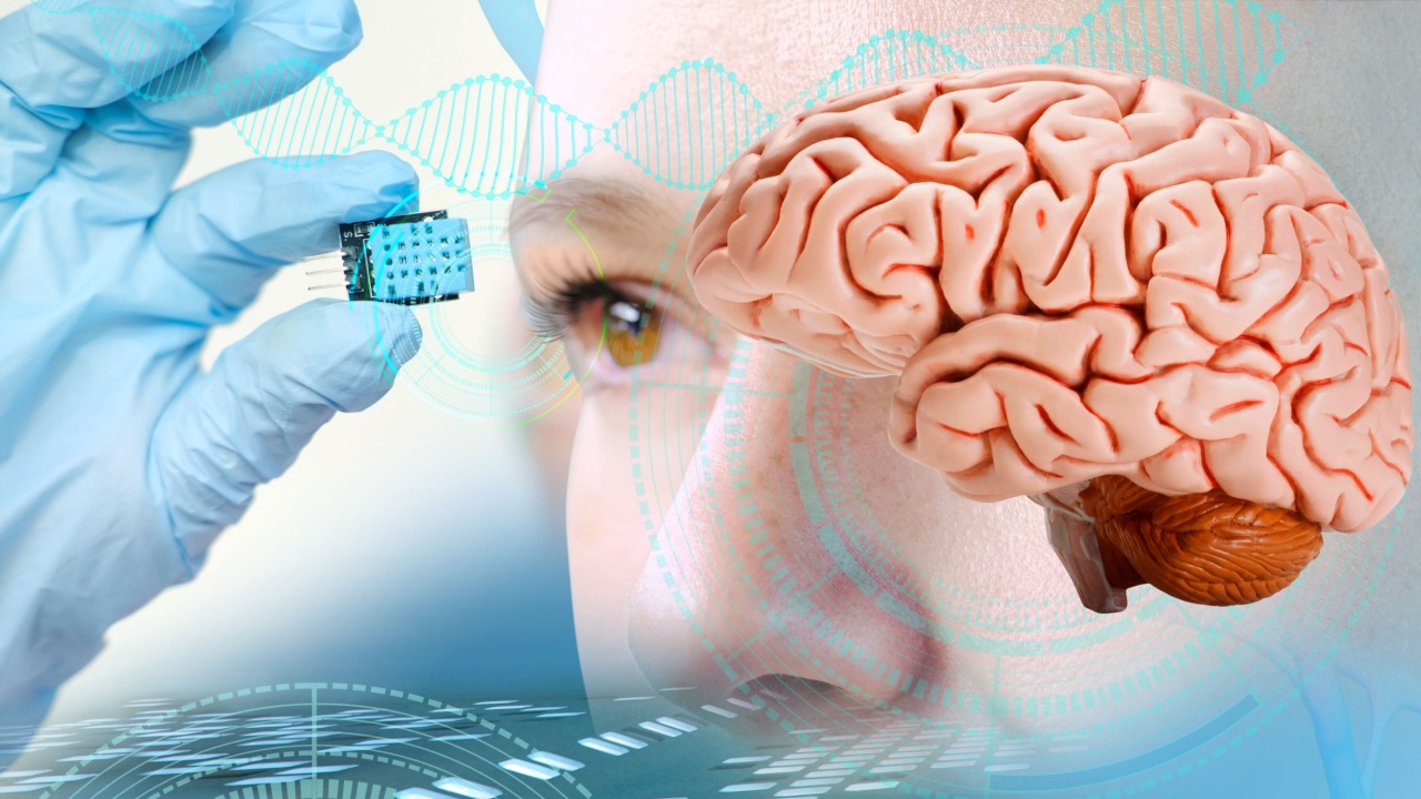 Neurotechnology Advancements, Electronic chip, bug in scientist's hand, Successful implantation of wireless chip into human brain, Cybernetics and Human Enhancement, Future Brain-Computer Interfaces