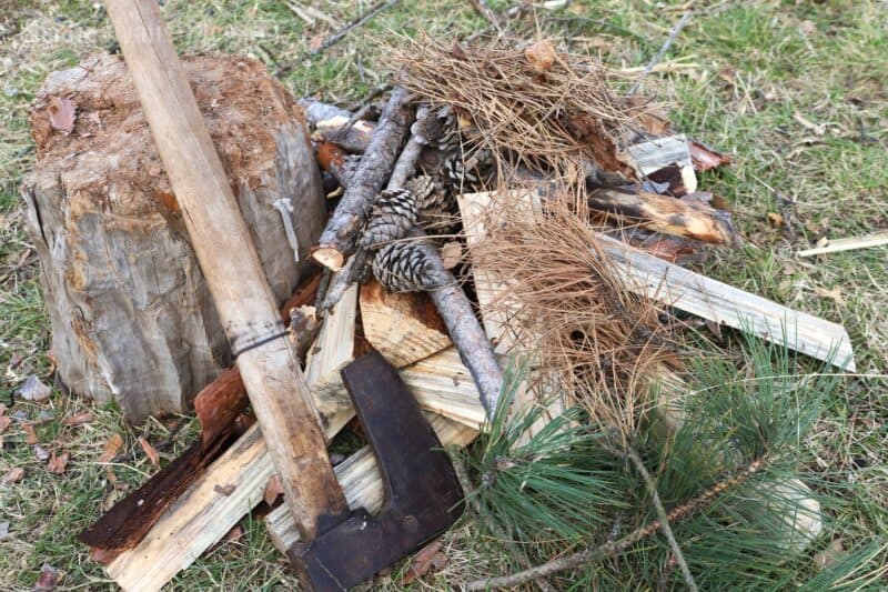 ax next to pinewood logs, cones, and pine needles