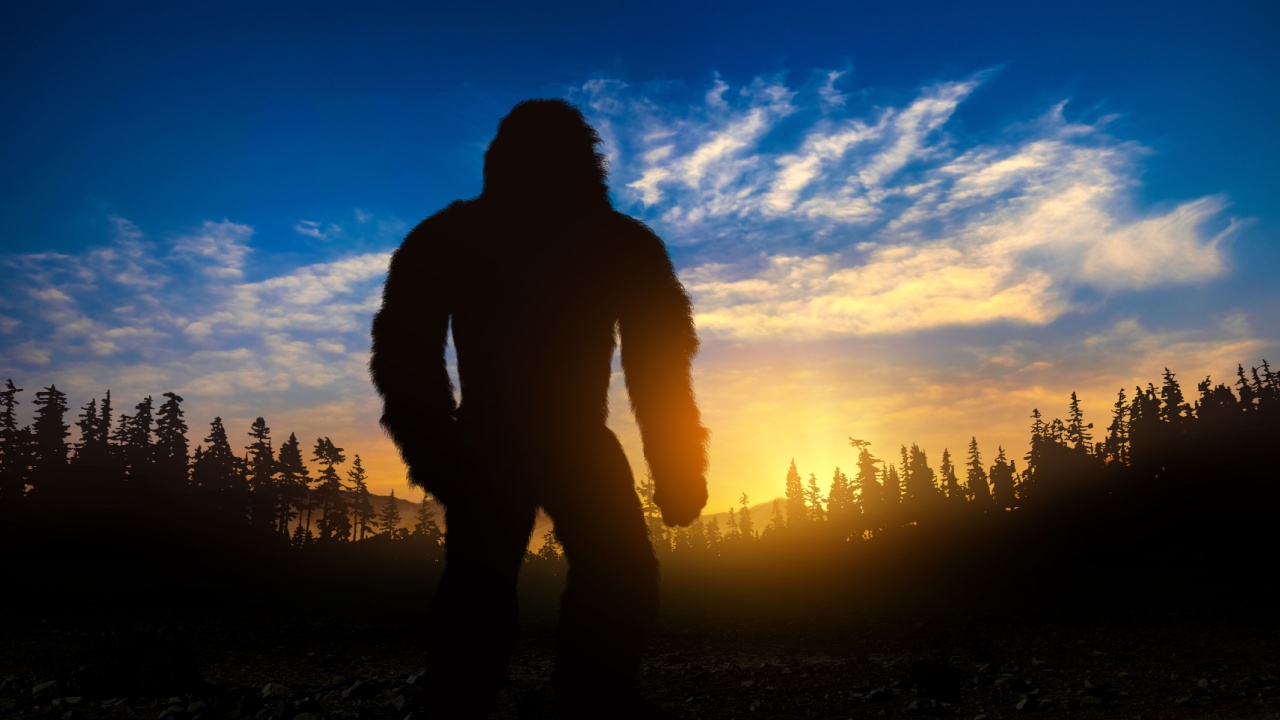 a silhouette of Bigfoot