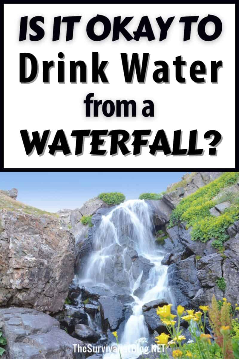 drinking water from a waterfall pinterest