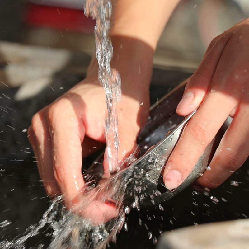 woman hands doing dishes