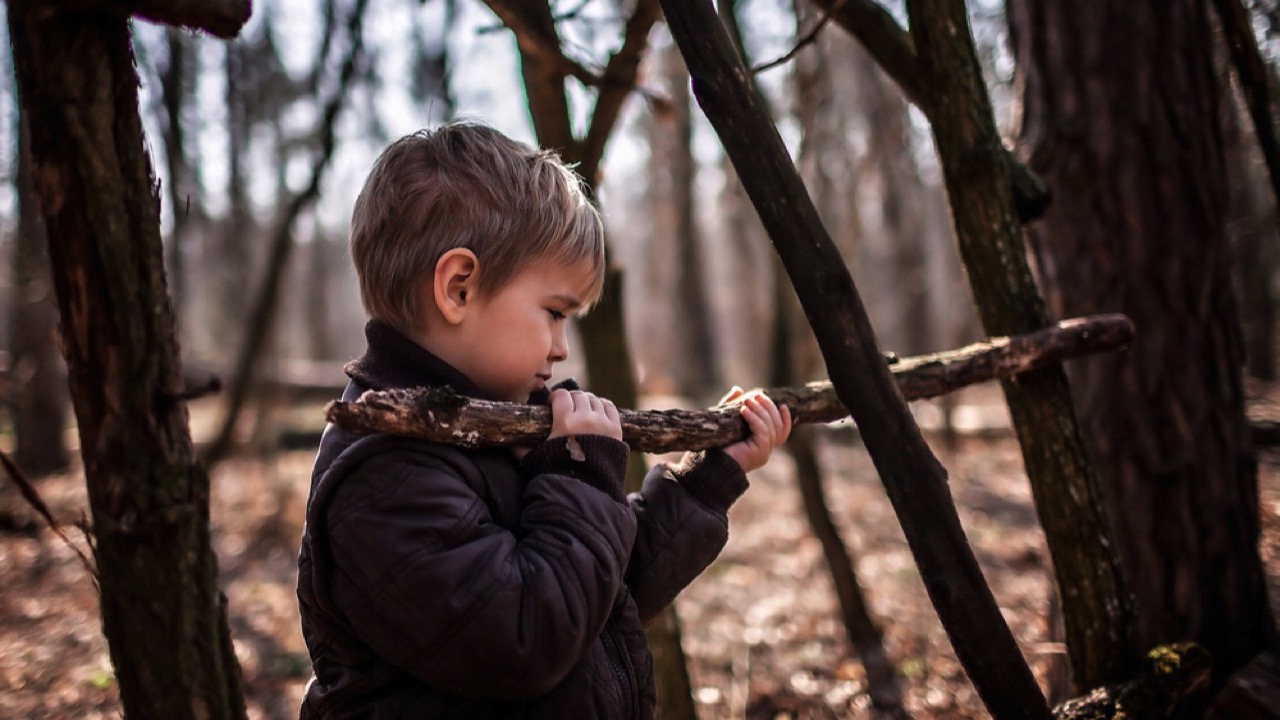 Building wooden habitat in forest