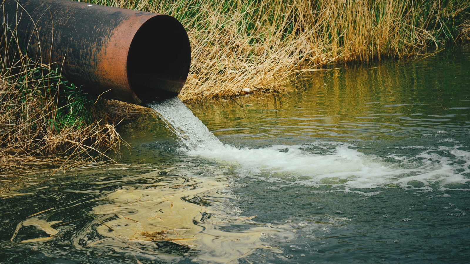 pollution coming from a pipe into the river 