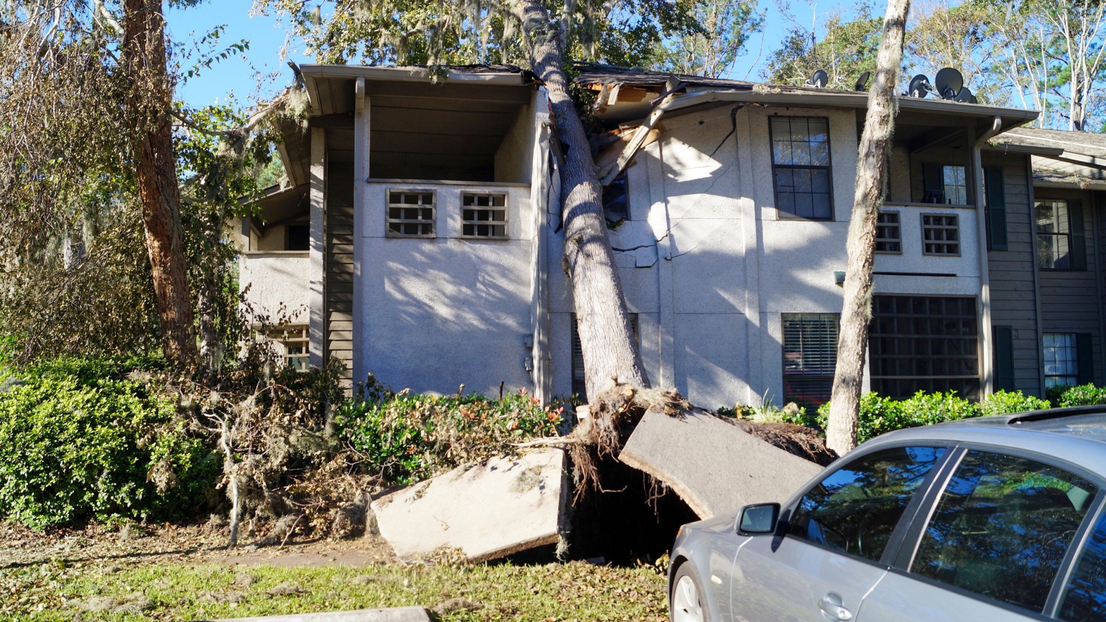 Tree on building roof and damage from hurricane tropical storm
