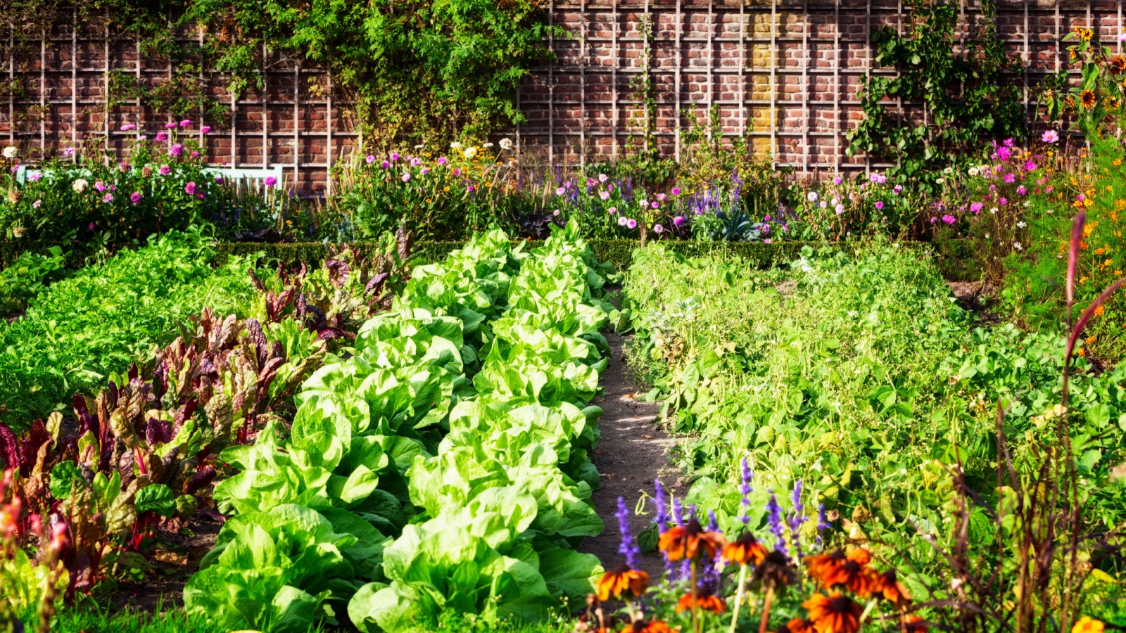 home grown herbs and vegetables 