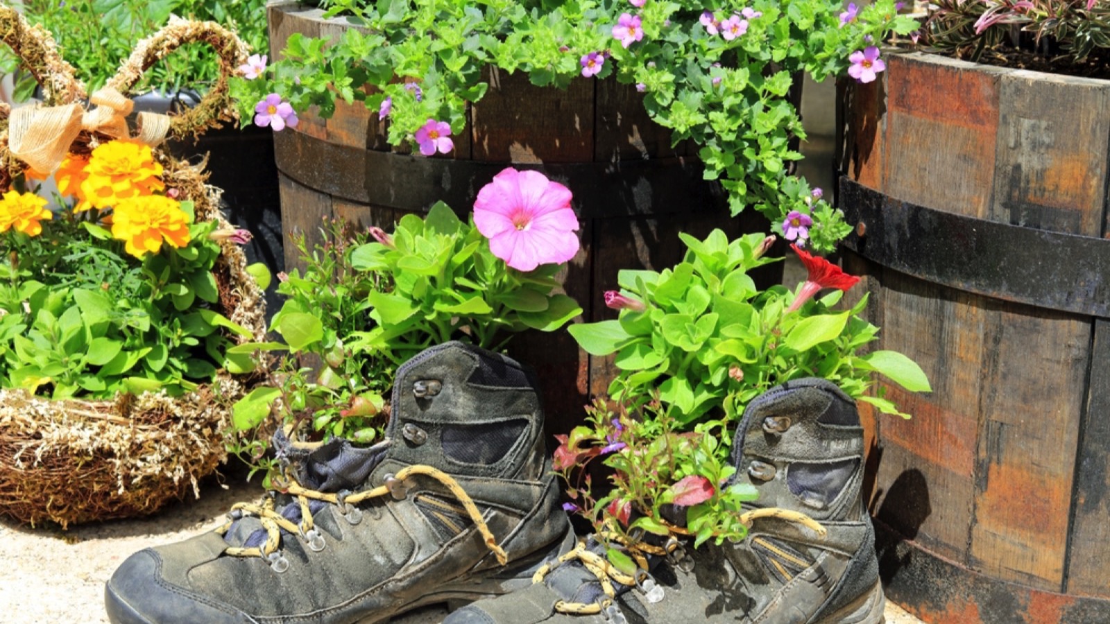 Garden planter from old boots