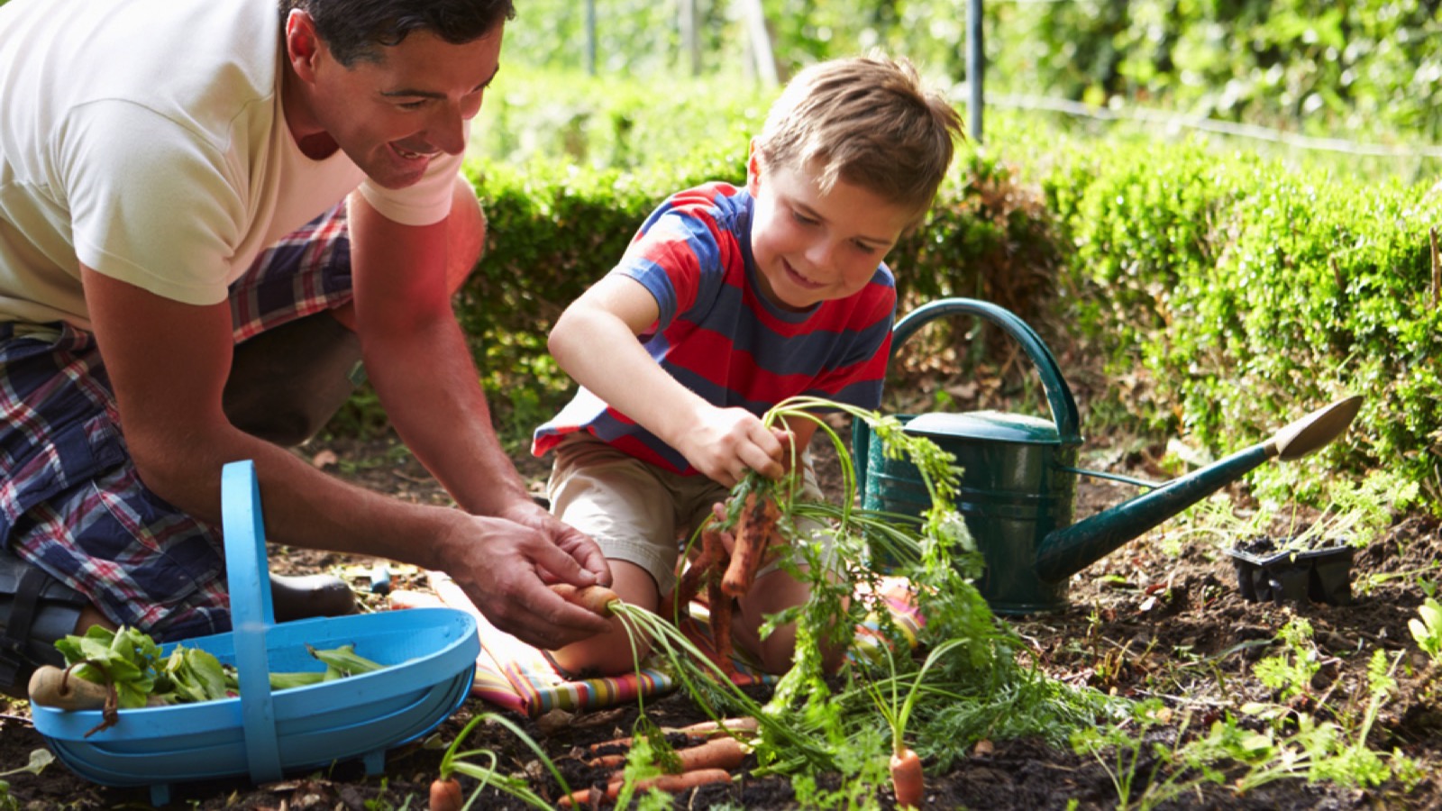 Home Garden