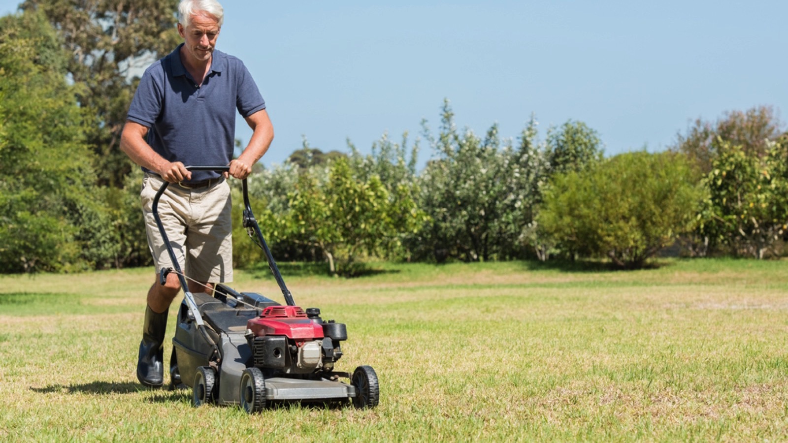 Old man lawn mowing