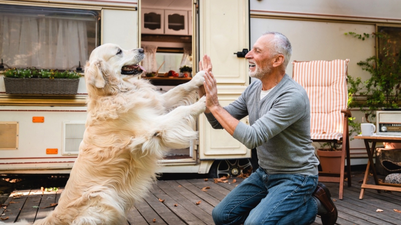 Pet owner with dog