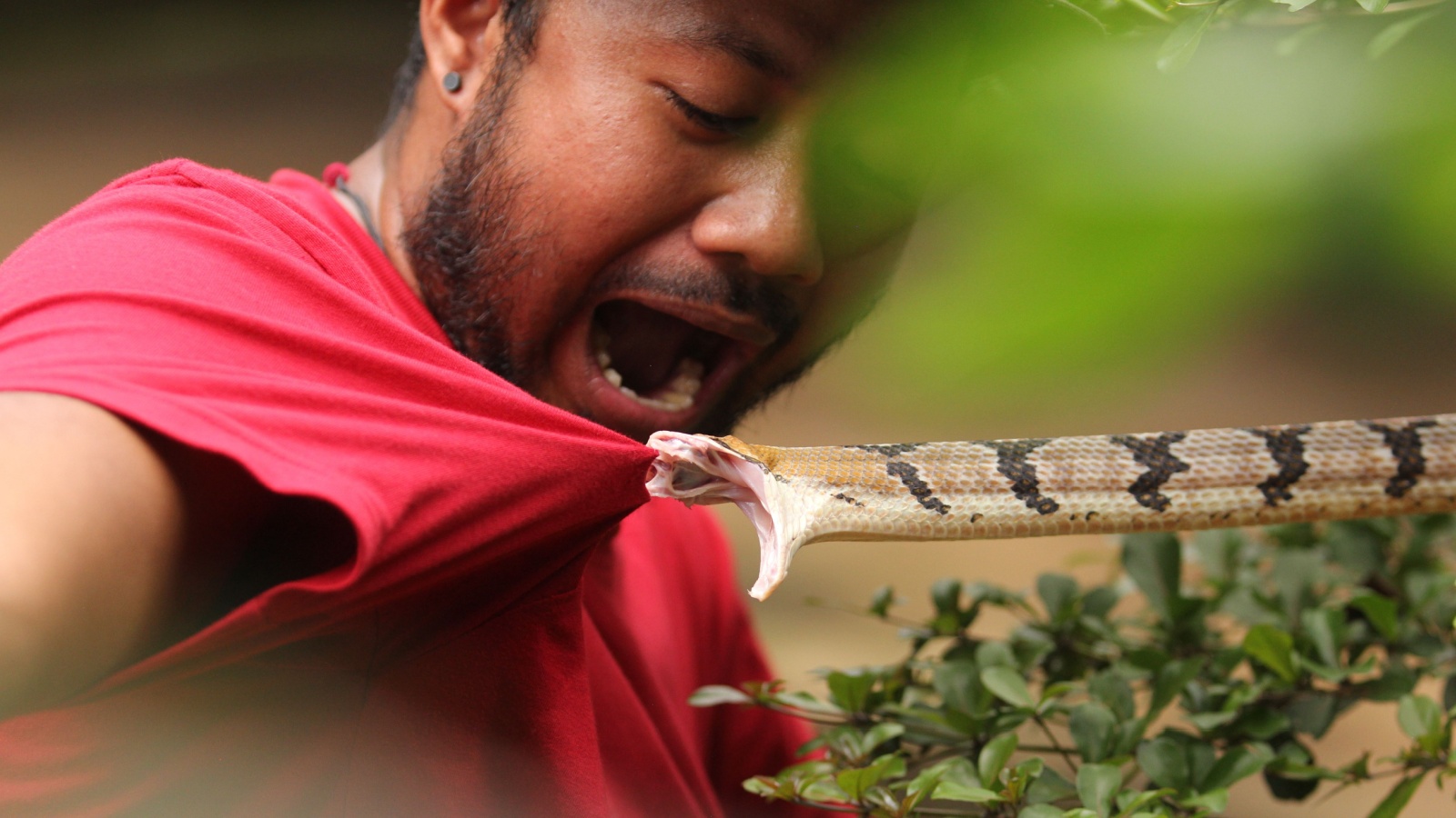 A young man was bitten by a snake in the garden