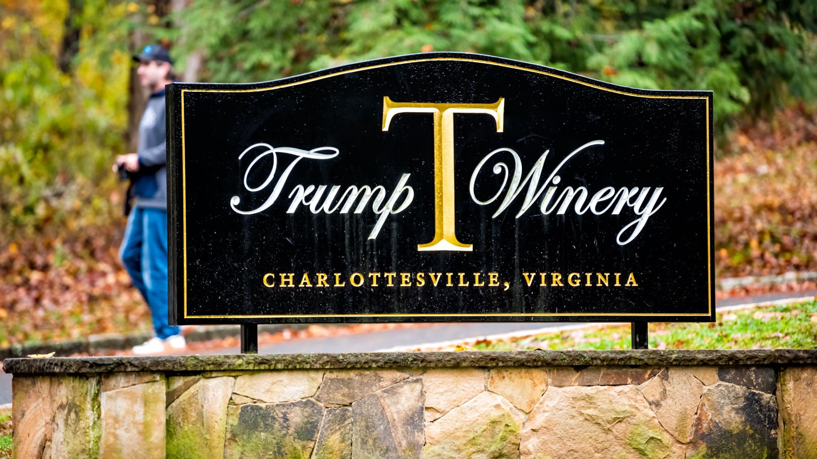 Trump Winery Vineyard 