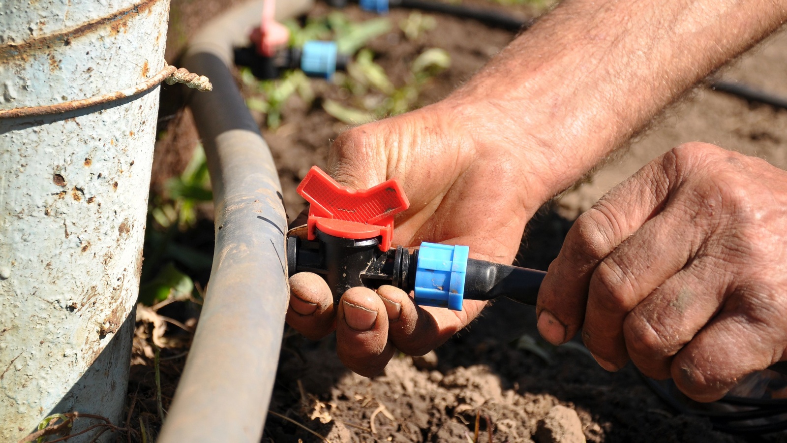 DIY drip irrigation system assembly