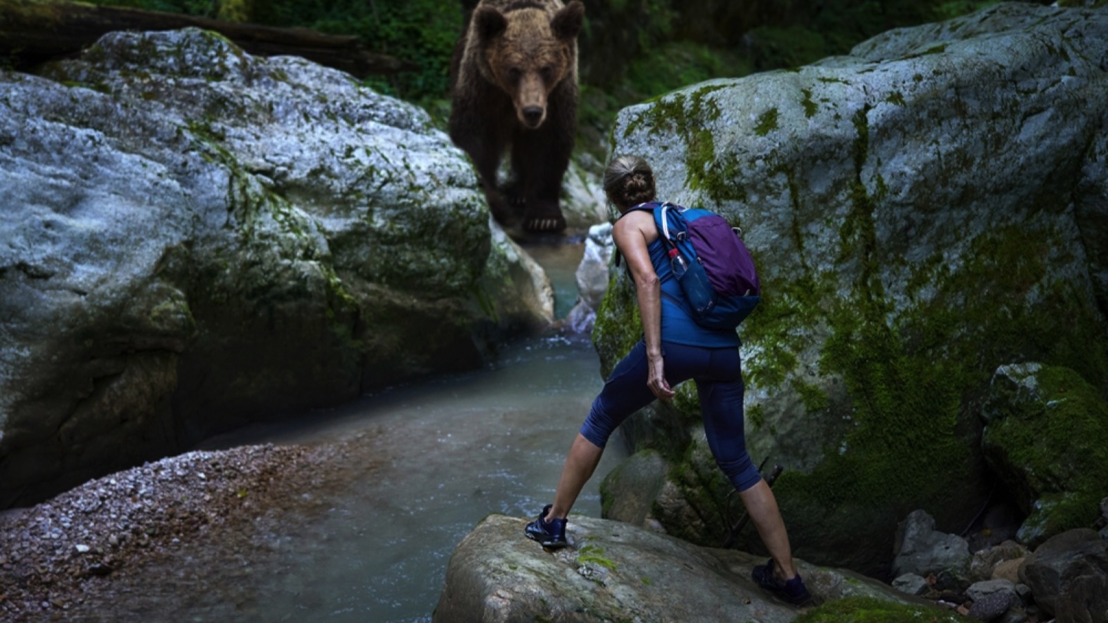 Woman encountering bear